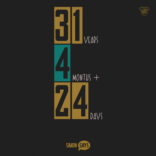 Strip Tees — 31 Years 4 Months 24 Days tee